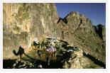 Mt Sinai road * 5386 x 3471 * (18.16MB)